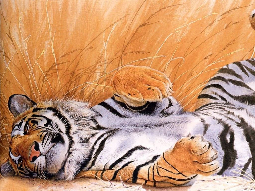 Animals - Tiger Wallpapers - 0.1 Wallpaper 1024x768